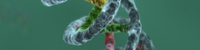 begem0t::b[io]log